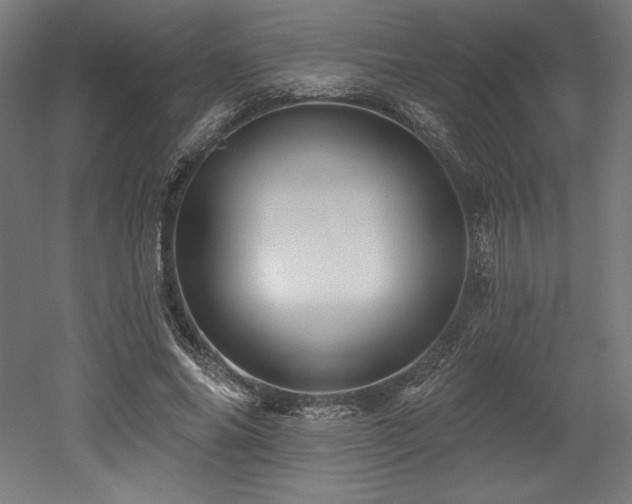 X0000053020686200507081326