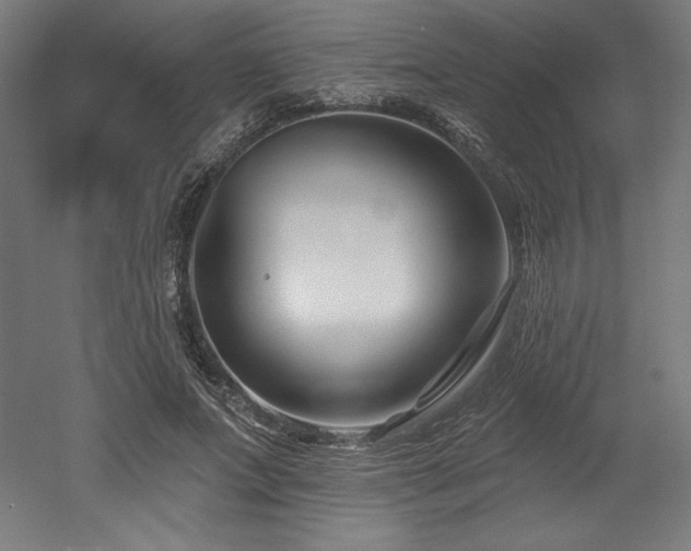 X0000053020687200507081326