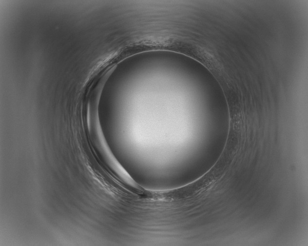 X0000053020688200507081326