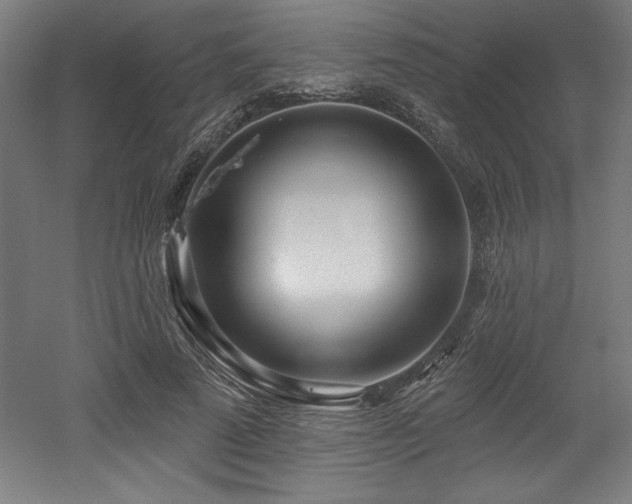 X0000053020689200507081326
