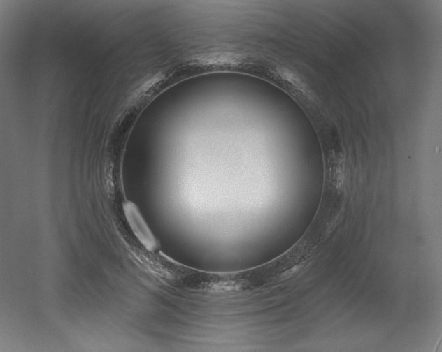 X0000053020692200507081326