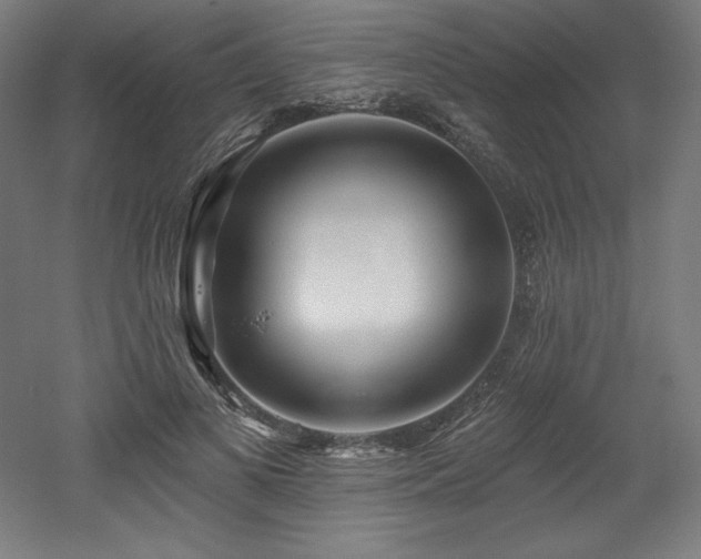 X0000053020693200507081326
