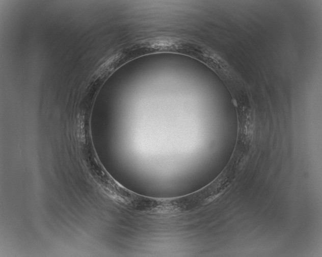 X0000053020696200507081326