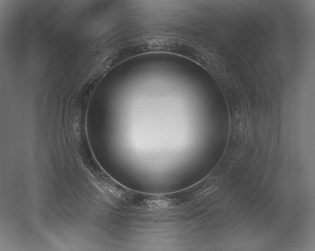 X0000053020698200507081326