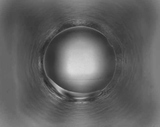 X0000053020700200507081326