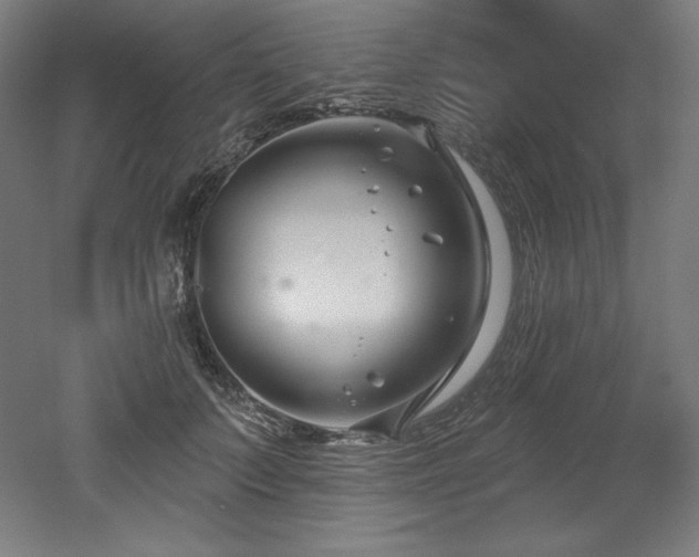 X0000053020703200507081326