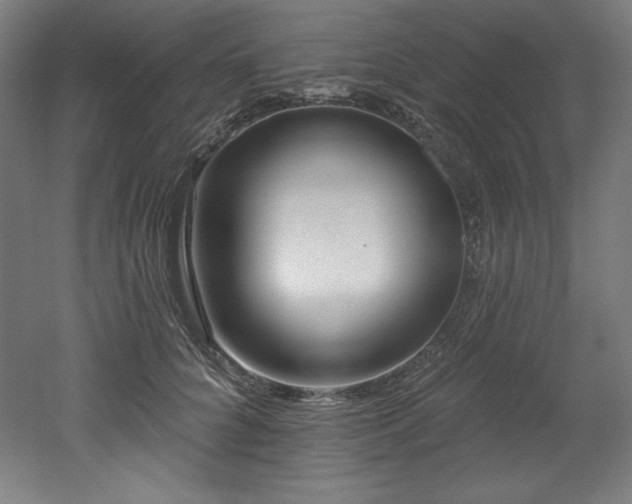 X0000053020704200507081326