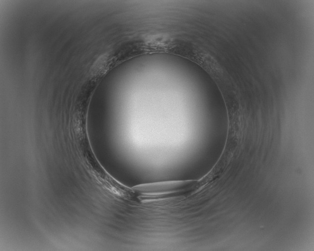 X0000053020706200507081326