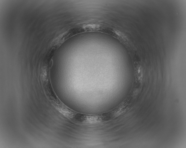 X0000053020709200507081326