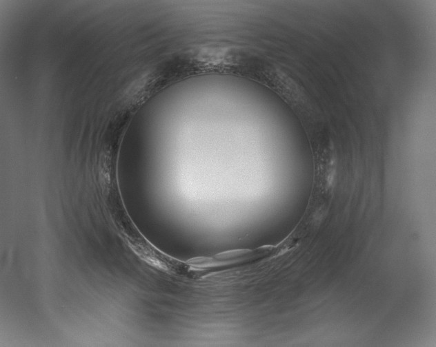 X0000053020710200507081326