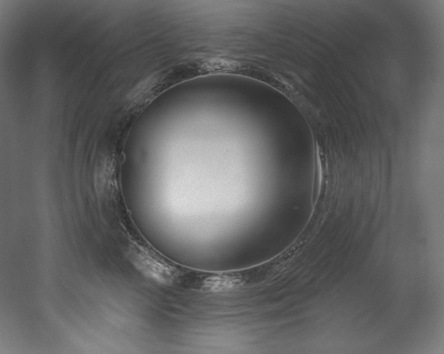 X0000053020714200507081326