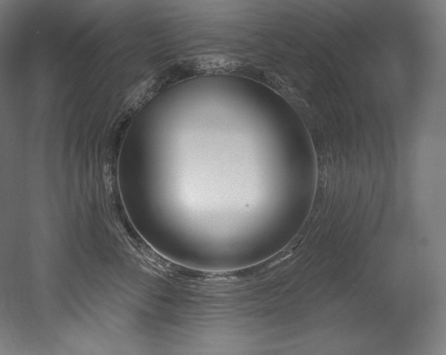 X0000053020716200507081326