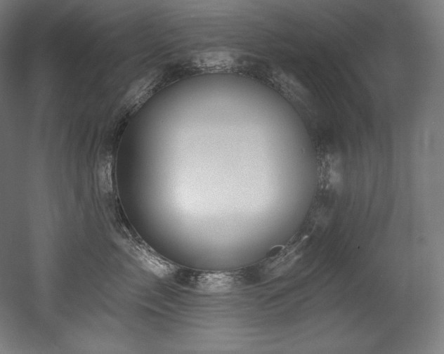 X0000053020717200507081326