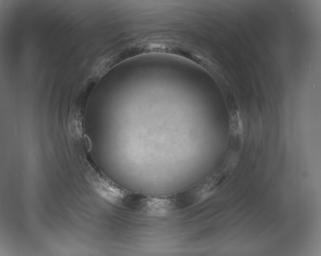 X0000053020718200507081326