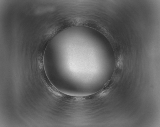 X0000053020719200507081326