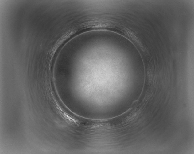 X0000053020721200507081325