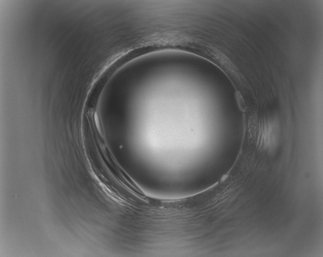X0000053020722200507081325
