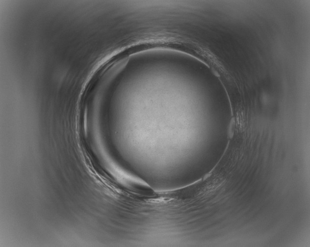X0000053020724200507081325