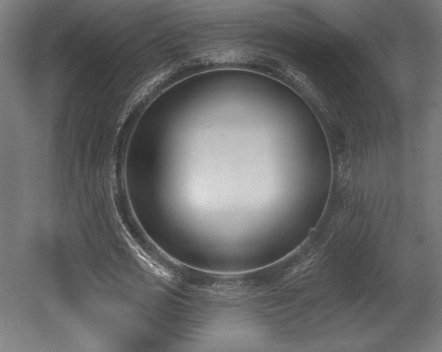 X0000053020725200507081325