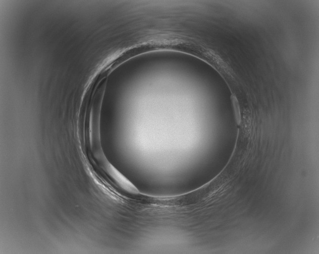 X0000053020726200507081325
