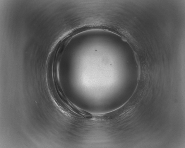X0000053020728200507081325