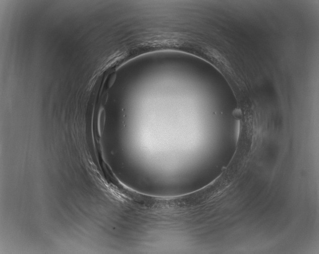 X0000053020729200507081325