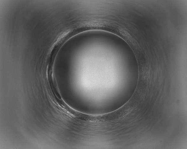 X0000053020731200507081325