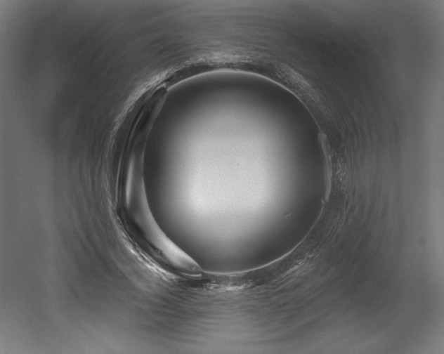 X0000053020732200507081325