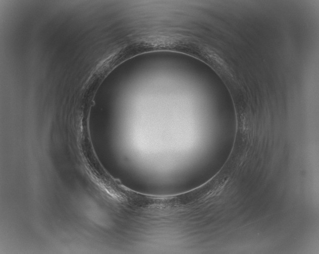 X0000053020733200507081325