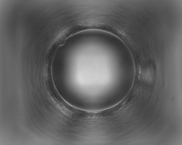 X0000053020735200507081325