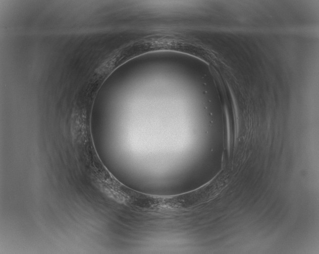 X0000053020737200507081325