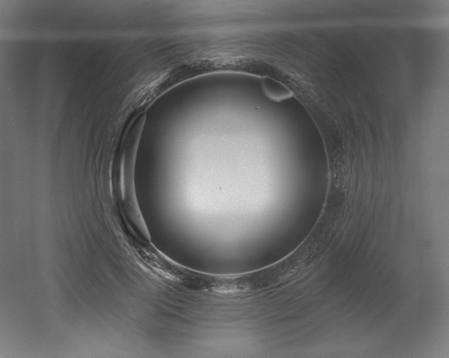 X0000053020740200507081325