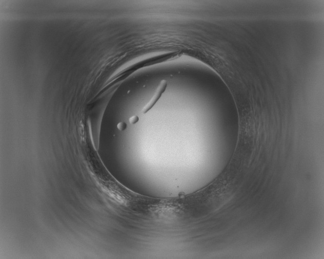 X0000053020743200507081325