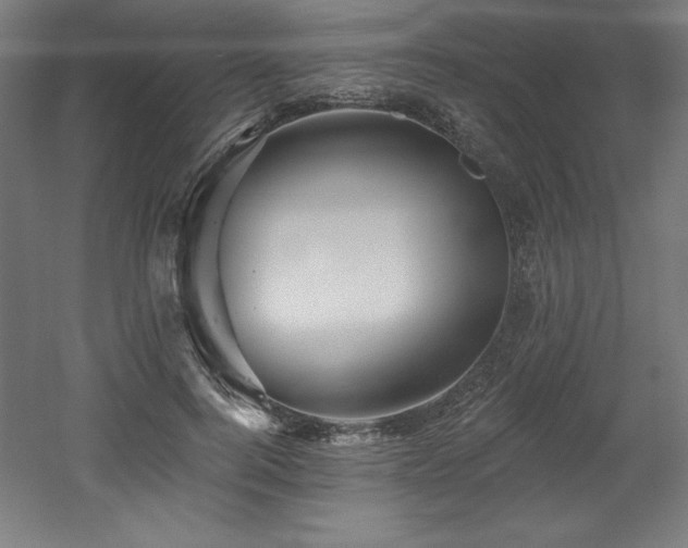 X0000053020744200507081325