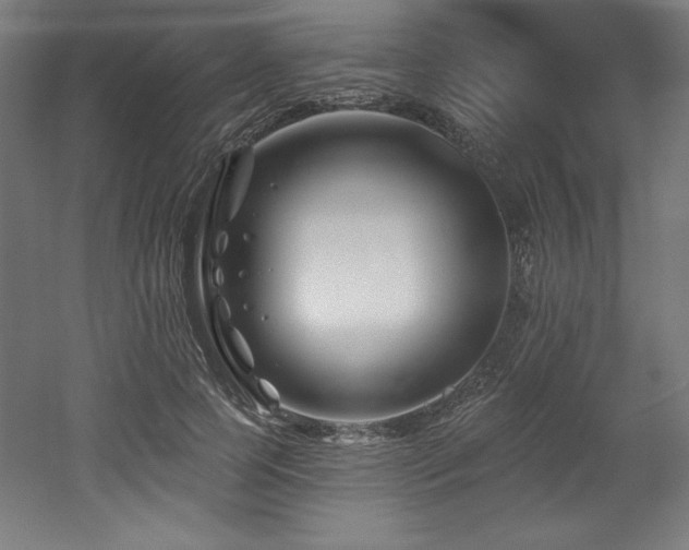 X0000053020745200507081325
