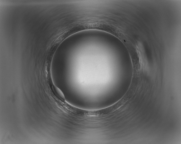 X0000053020746200507081325