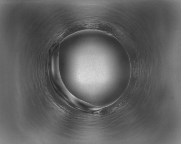 X0000053020748200507081325