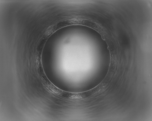 X0000053020749200507081325