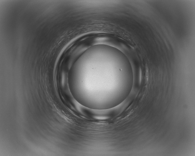 X0000053020750200507081325
