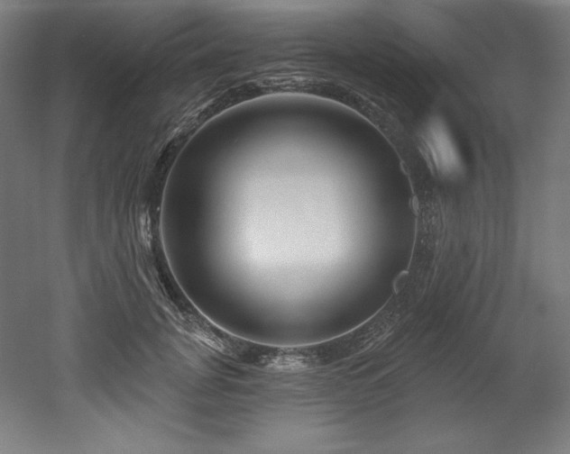 X0000053020751200507081325