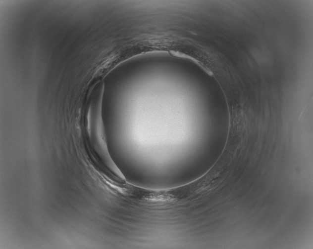 X0000053020752200507081325