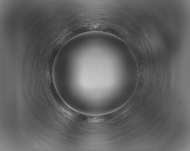 X0000053020754200507081325