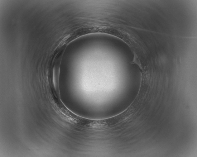 X0000053020756200507081326