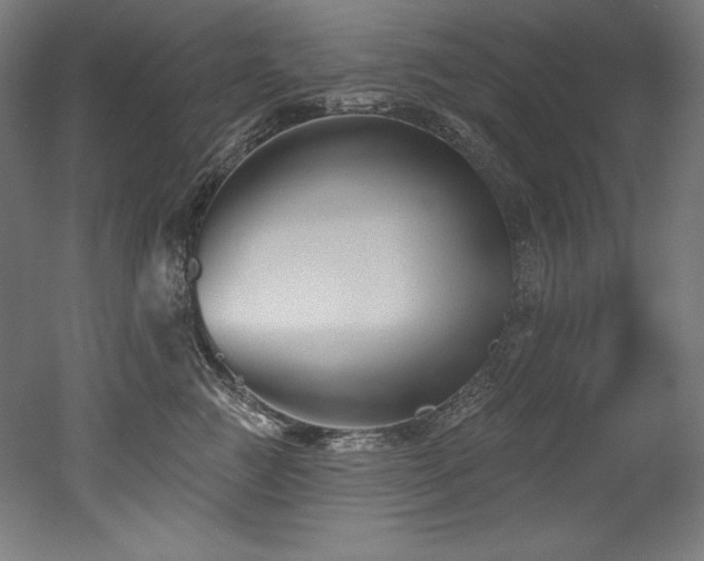 X0000053020761200507081326