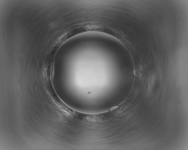 X0000053020763200507081326