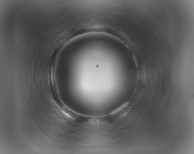 X0000053020764200507081326