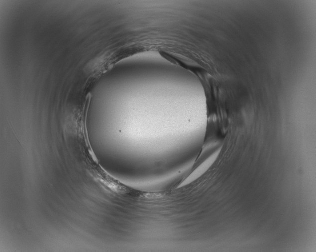 X0000053020766200507081326