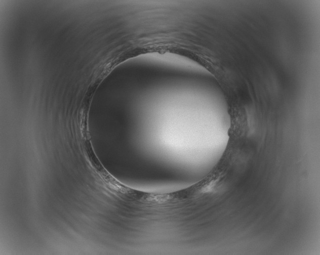 X0000053020767200507081326