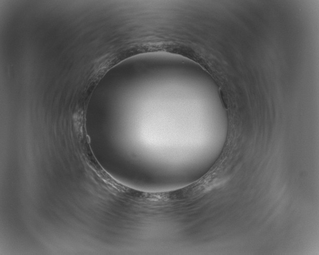 X0000053020768200507081326