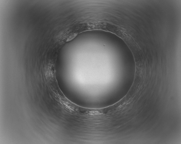 X0000053020770200507081325